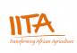 IITA – Ghana logo